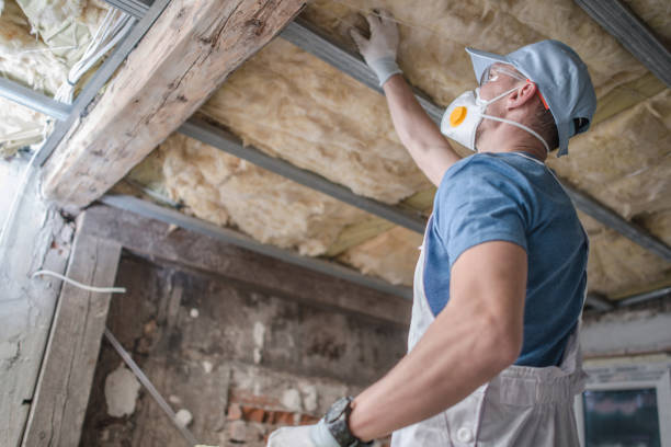 Best Cellulose Insulation in East Stroudsburg, PA